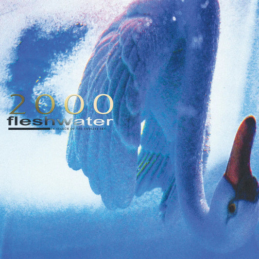Fleshwater - 2000: In Search Of The Endless Sky Review