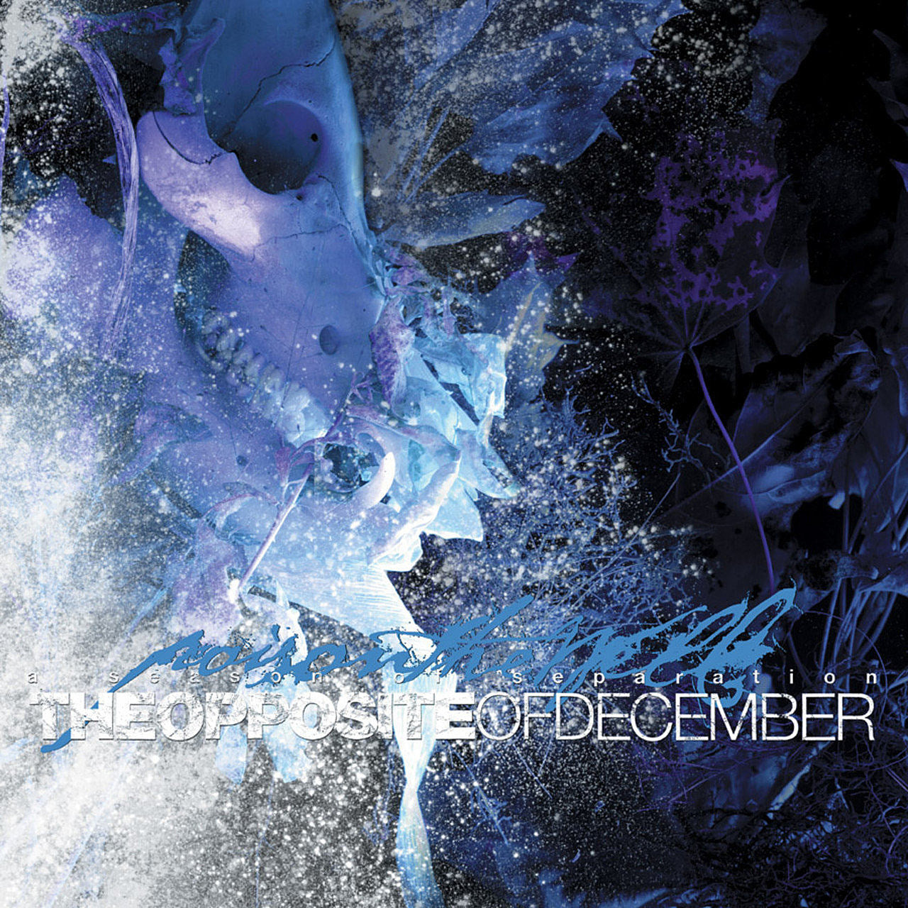 Poison The Well - The Opposite of DecemberA Season Of