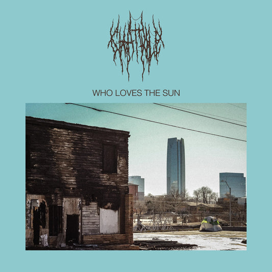 Chat Pile - Who Loves The Sun Review