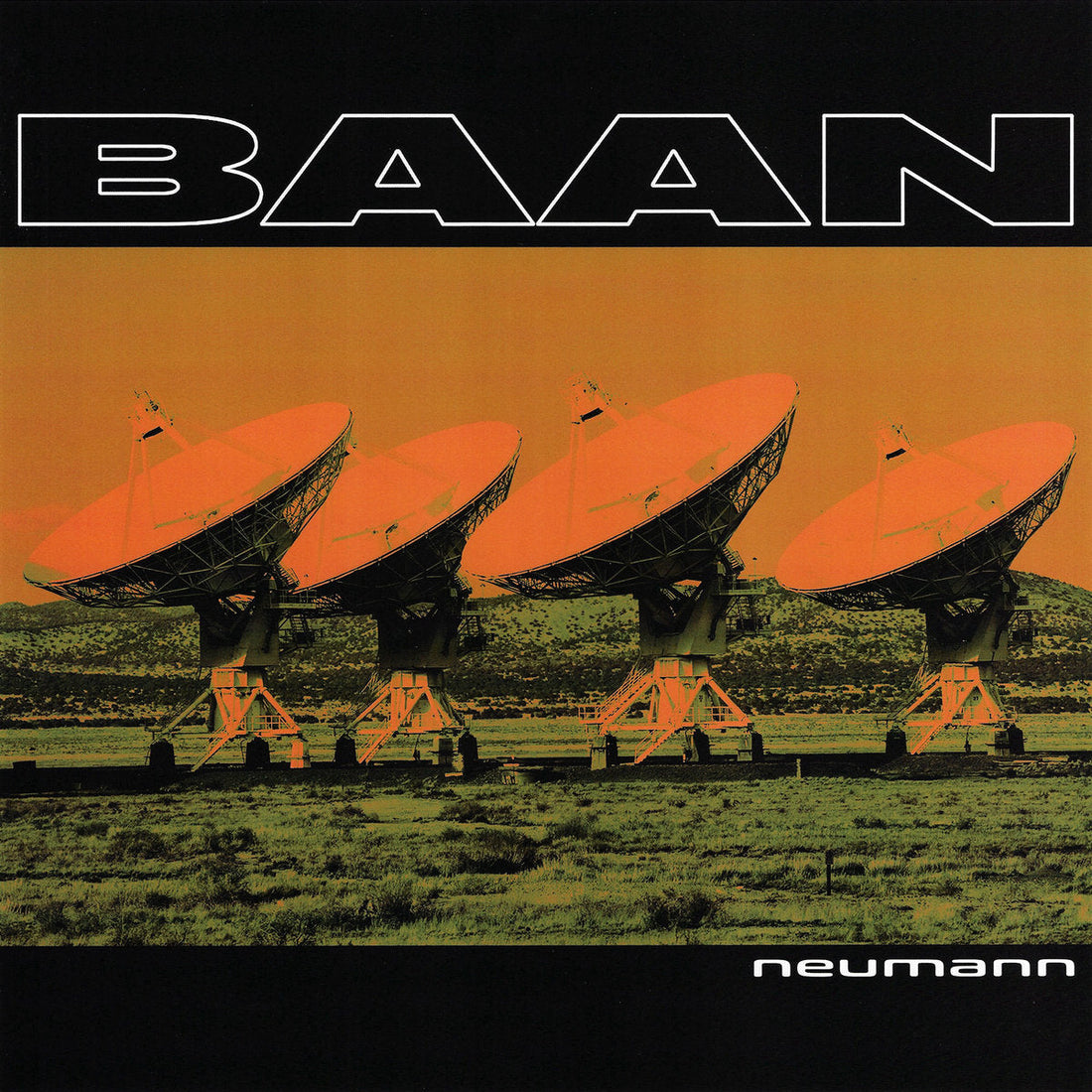 BAAN - Neumann Review