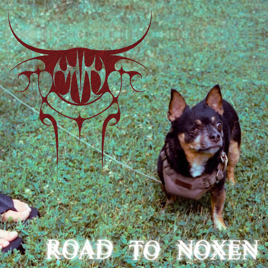The Virgos - The Road To Noxen 