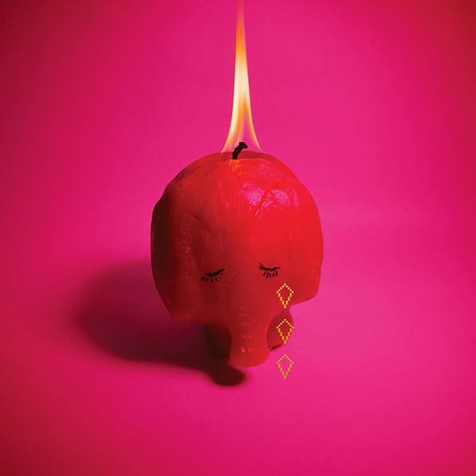 Arcade Fire - Pink Elephant Review