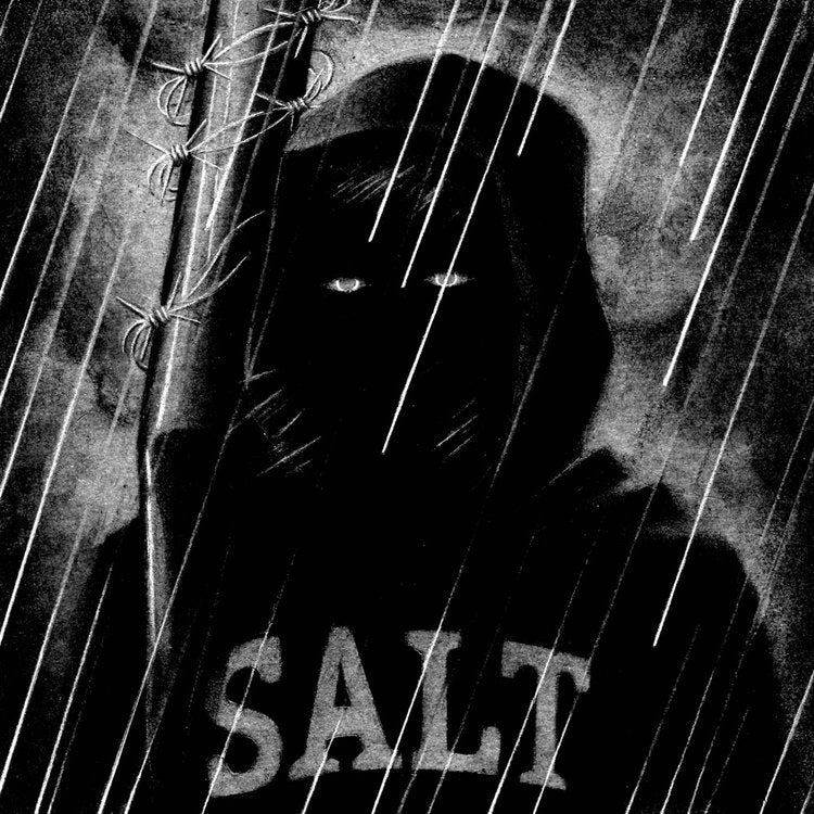 Salt - Suffering Review