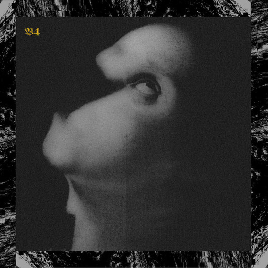 Viscera/// - 4. Assets For Psychedelic Warfare Review