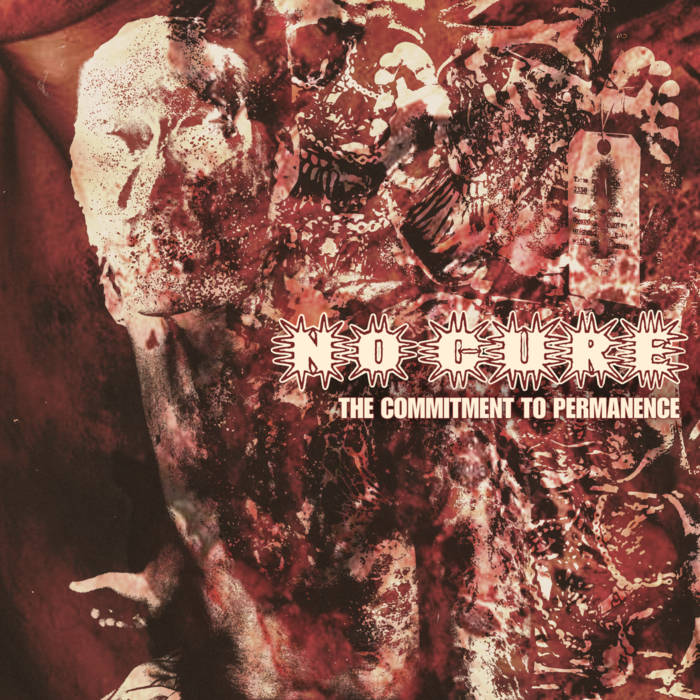 No Cure - The Commitment To Permeance Review